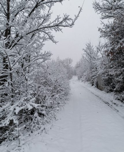 Inverno